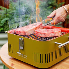 Mini Barbecue Grill